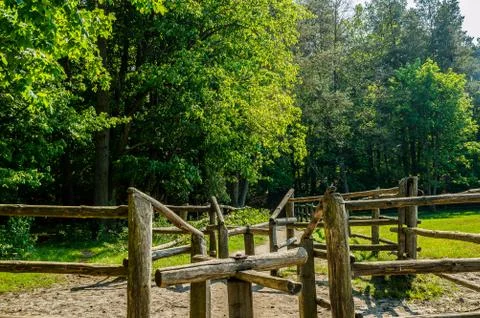 Fencing Stock Photos