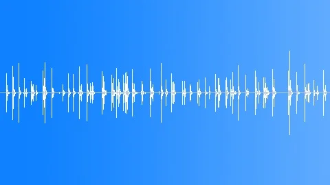 FENCING Sound Effect