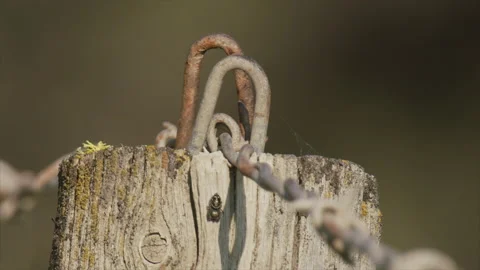 Fencing - staples holding barbed wire to fence post, 4k Stock Footage 165703375