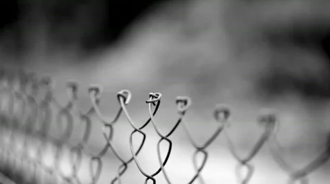 Fencing wire mesh. Stock Footage 801478
