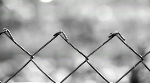 Fencing wire mesh Stock Footage 801546