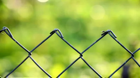 Fencing wire mesh Stock Footage 824831