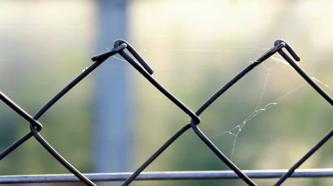 Fencing wire mesh Stock Footage 824944