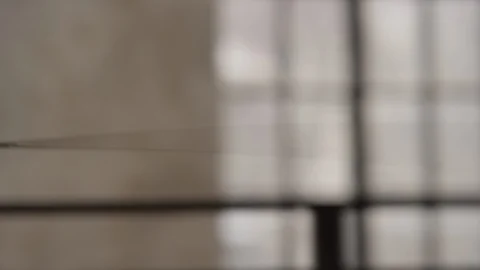 Fencing28 Stock Footage 118520964