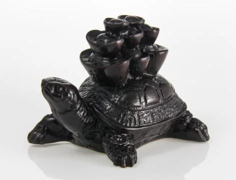 Feng Shui  Turtle Stock Photos