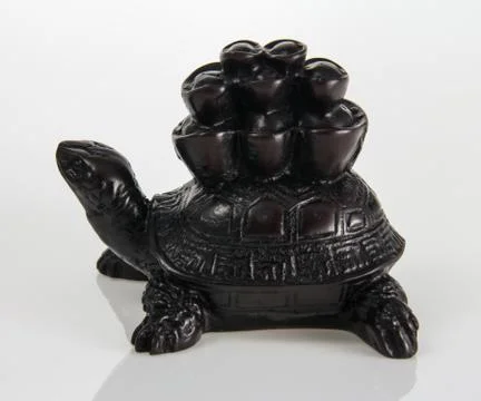 Feng Shui  Turtle Stock Photos