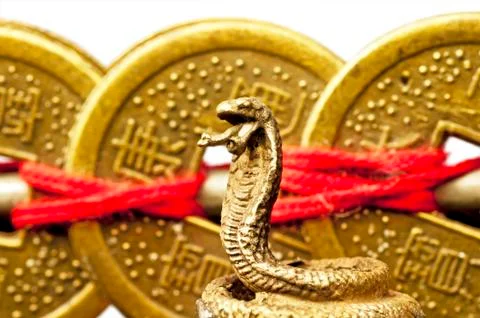 Feng shui year of the snake Stock Photos