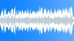 A Fenian song (traditional Irish tune) (Loopable version) Stock Music