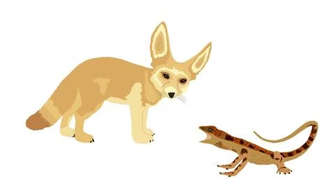 Fennec fox hunting lizard vector illustration isolated on white Stock Illustration