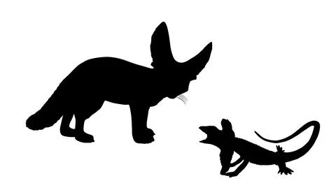 Fennec fox hunting lizard vector silhouette illustration Stock Illustration