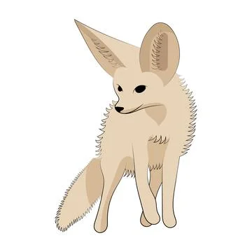 Fennec fox vector illustration. Little fox drawing. Stock Illustration