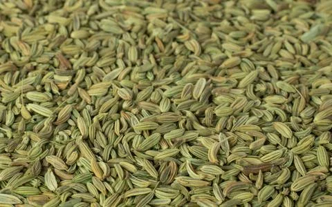 Fennel as a background close up. Stock-Fotos