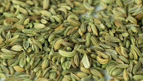 Fennel as a background close up. 写真素材
