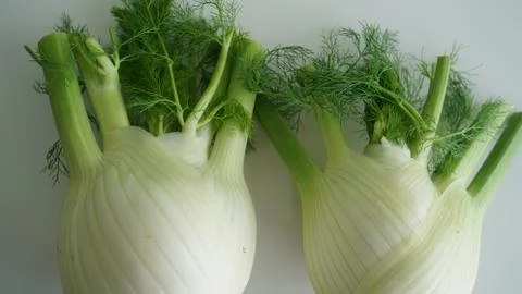 Fennel bulbs. Fotos Stock