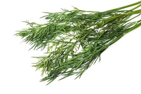Fennel bunch Stock Photos