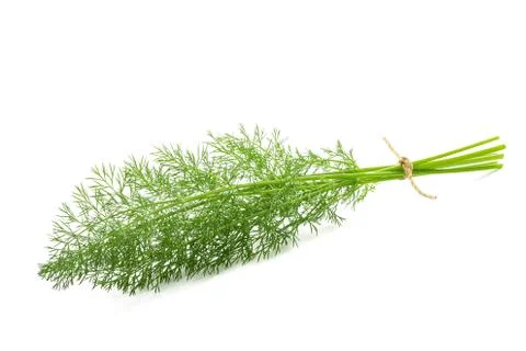 Fennel bunch Stock Photos
