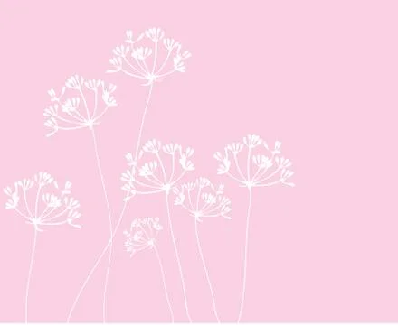 Fennel flower Illustrazione stock