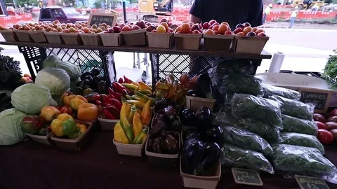 FENNEL Video stock 102750976