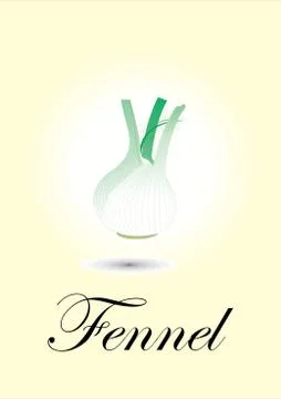 Fennel Stock Illustration