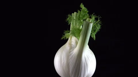 Fennel isolated on black background Stock-Footage 127095653