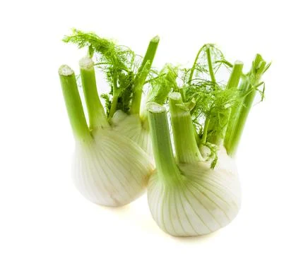Fennel isolated on white background. High quality photo. Stock Photos