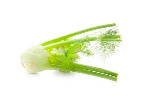 Fennel isolated on white background Stock Photos