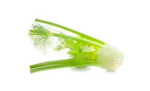 Fennel an isolated on white background Stock Photos