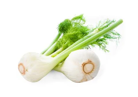 Fennel isolated on white background Stock Photos
