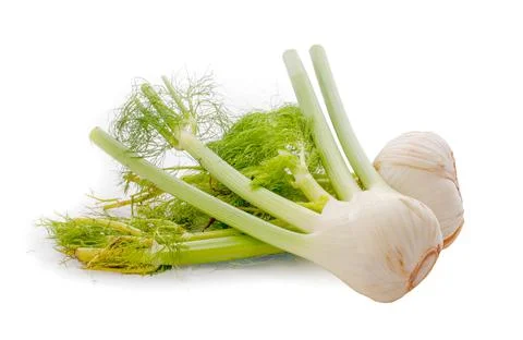 Fennel isolated on white background Stock Photos