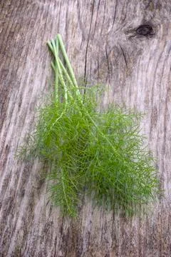 Fennel leaves Stock Photos