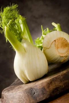 Fennel Stock Photos