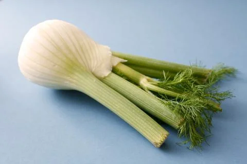 Fennel Stock Photos