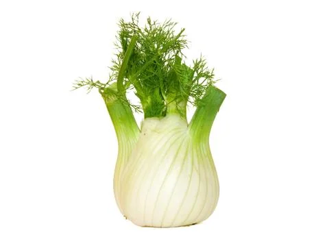 Fennel Stock Photos