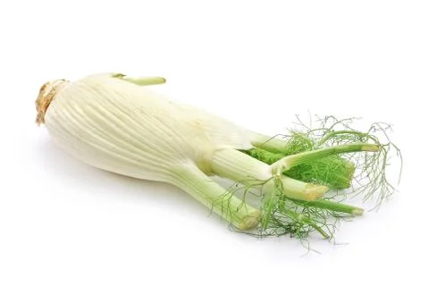 Fennel Stock Photos