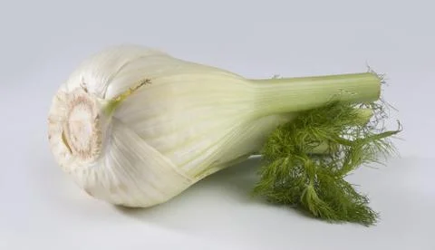 Fennel Stock Photos