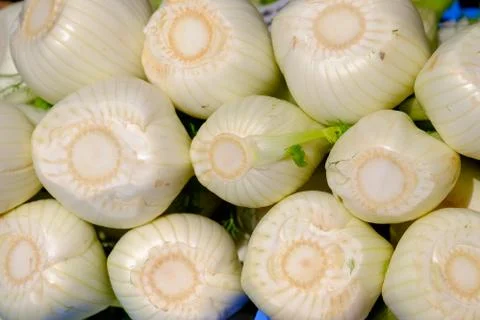 Fennel Stock Photos