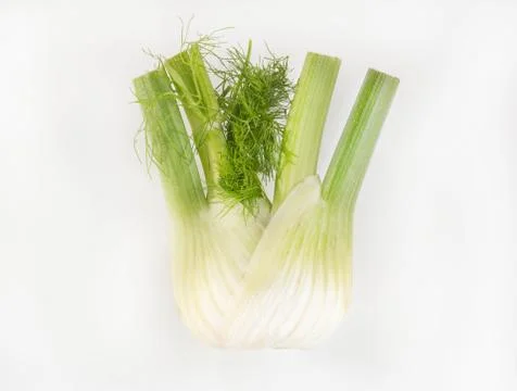 Fennel Stock Photos