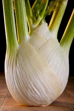 Fennel Stock Photos