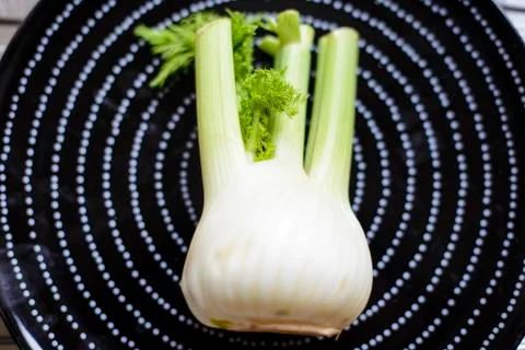 Fennel portrait Stock Photos