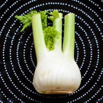 Fennel portrait Foto stock