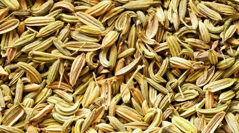 Fennel seeds background Stock-Footage 8909520
