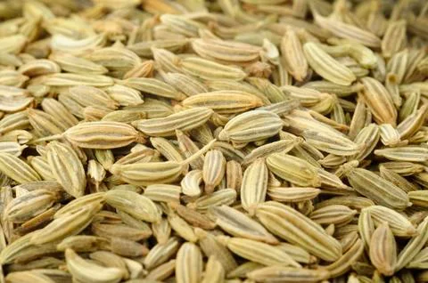 Fennel seeds background Stock Photos