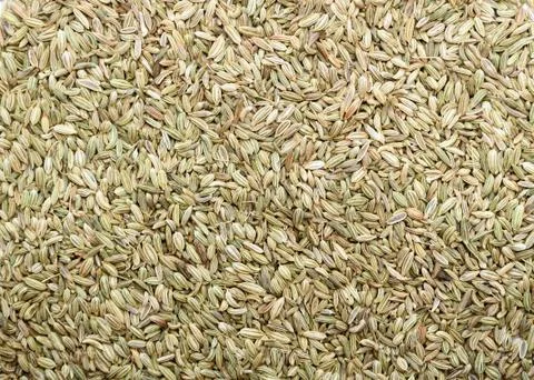 Fennel seeds background Stock Photos