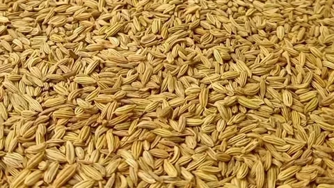 Fennel seeds fall on rotating full frame background, micro shot, spinning Stock Footage 275876829