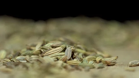 Fennel seeds macro light sweep isolated Stock Footage 119120130