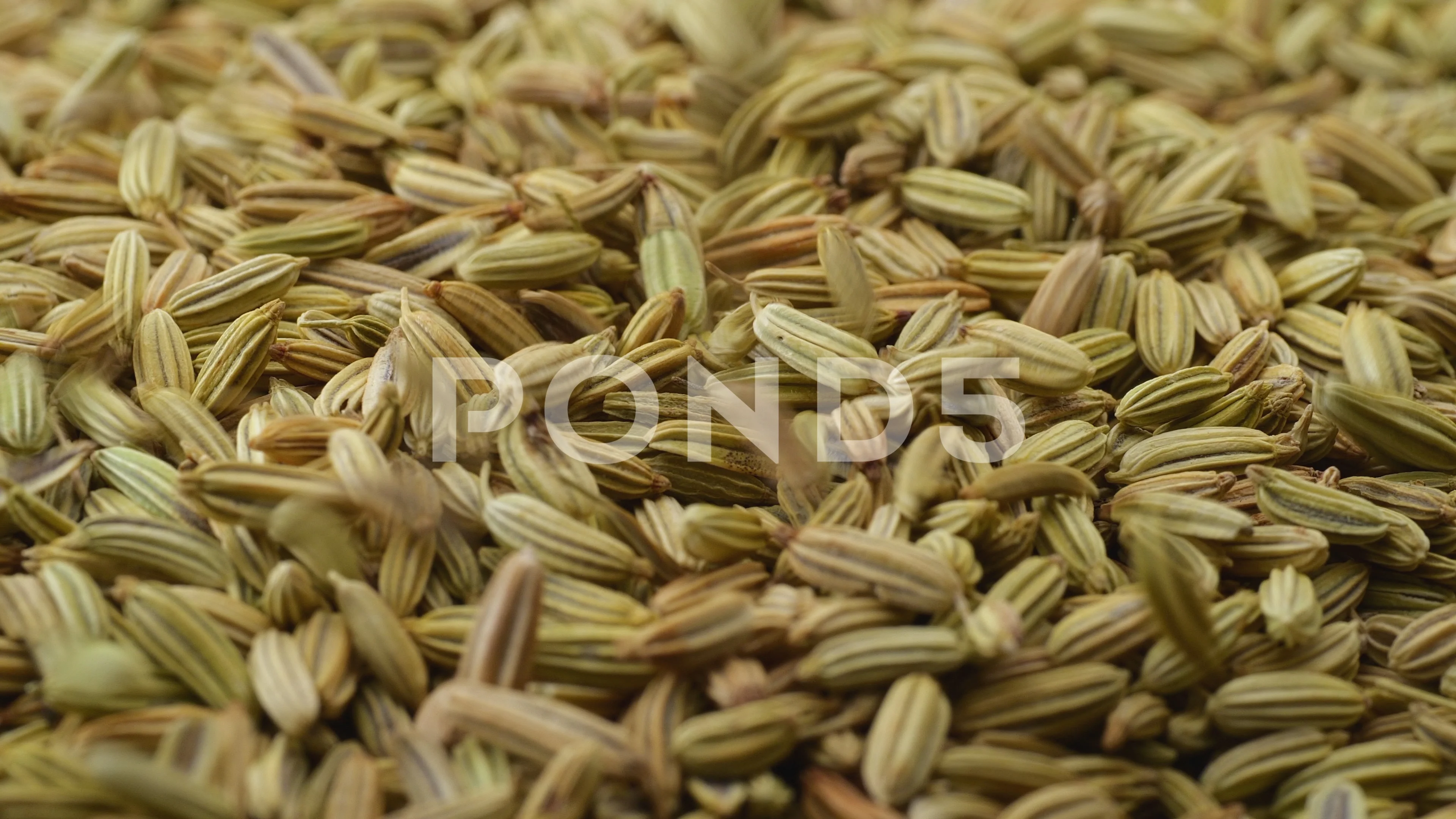 Fennel Seeds In Tamil