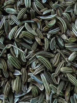 Fennel Seeds Macro Texture Background Aromatic Spice Close Up Food Ingredient Stock Photos
