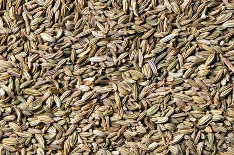 Fennel seeds Stock Photos