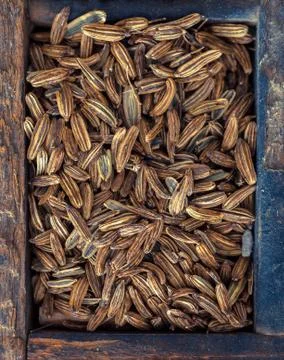 Fennel seeds Stock Photos