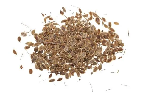 Fennel seeds Stock Photos
